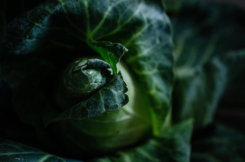 Vegetable Crops