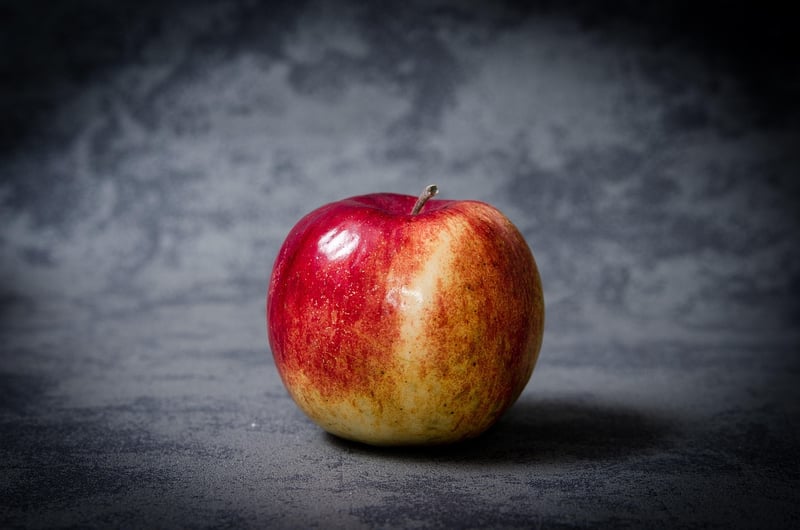 Apple Tree